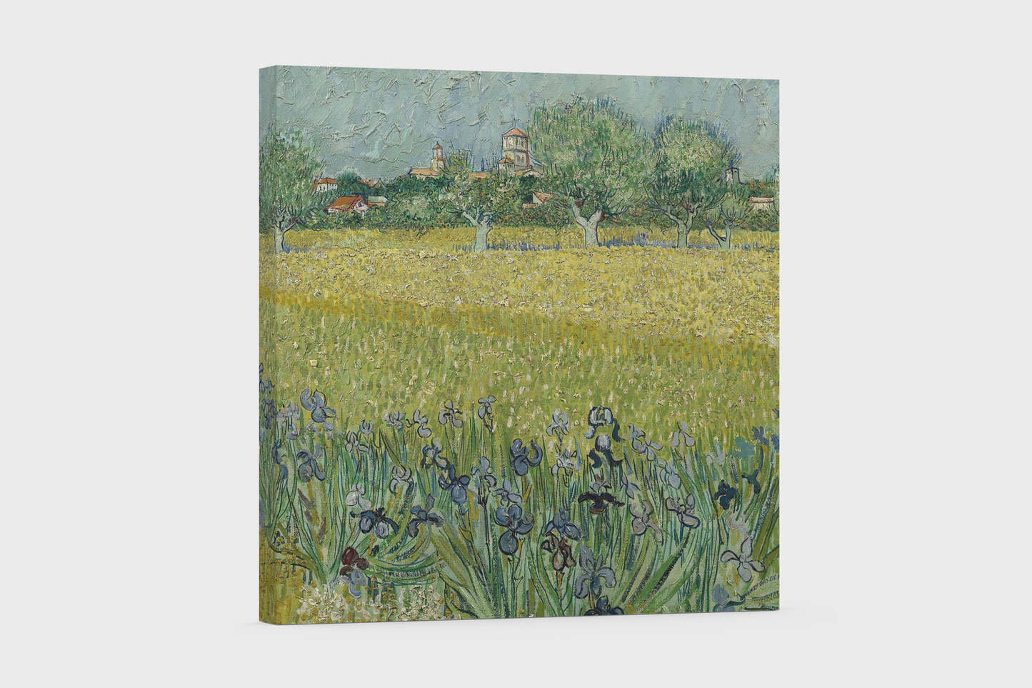 Van Gogh’s “Field with Irises” – Canvas Print with Timeless Beauty