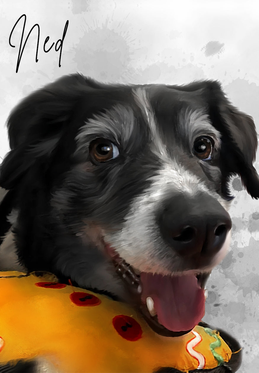 JJ