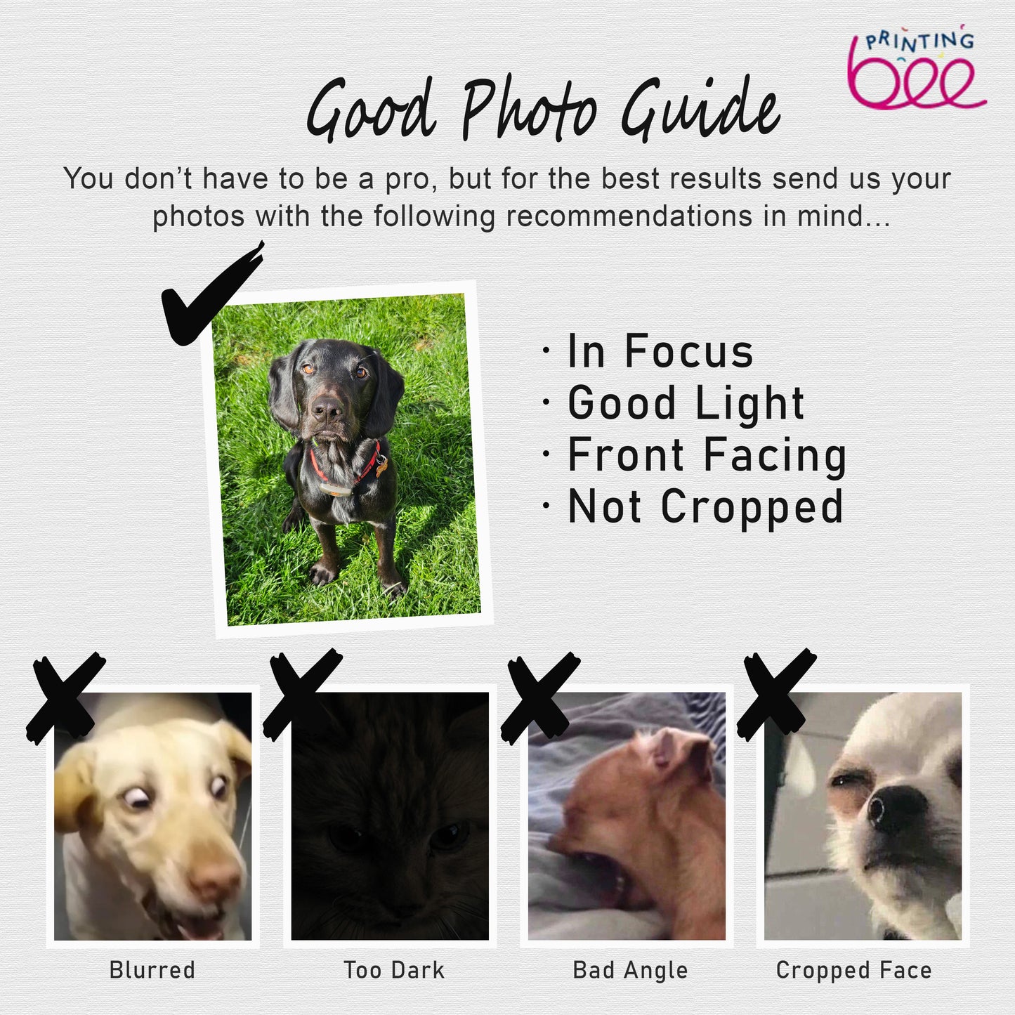 Hand-Drawn Pet Portrait | Personalised Dog & Cat Wall Art | Custom Portrait from Photo