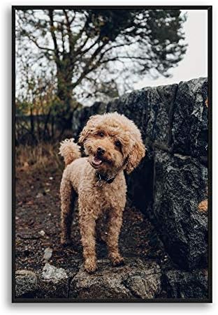 Custom Canvas Prints with Your Photos for Pet/Animal, Personalised Pictures to Canvas for Wall Framed