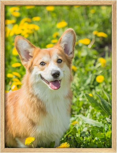 Custom Canvas Prints with Your Photos for Pet/Animal, Personalised Pictures to Canvas for Wall Framed