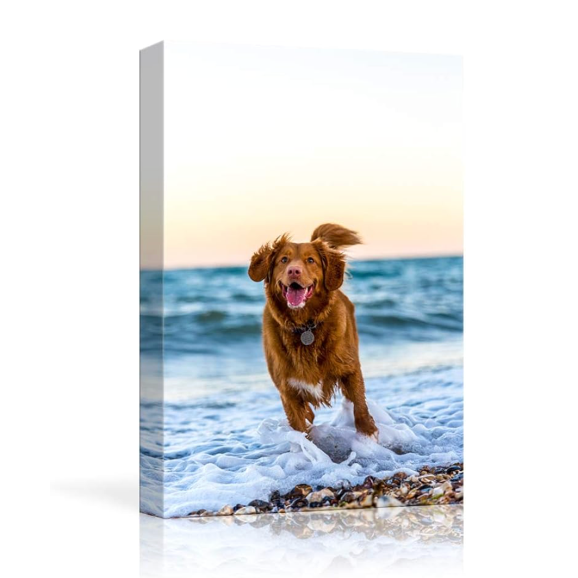 Custom Canvas Prints with Your Photos for Pet/Animal, Personalised Pictures to Canvas for Wall Framed