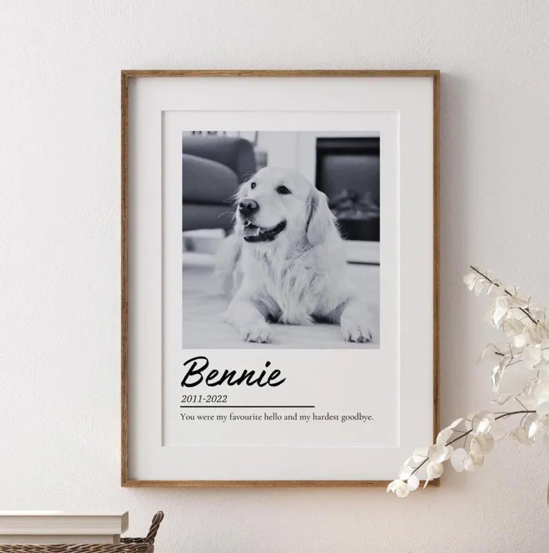 Pet Memorial Print Custom, Dog Memorial, Cat remembrance Gift, Pet Loss Sympathy Present, Optional Paw Print, Memory Gift Print for Lost Pet